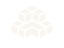 Rigidmind AI